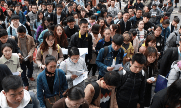 报考专业怎么填写，公务员报考小学学历及专业怎么填图1