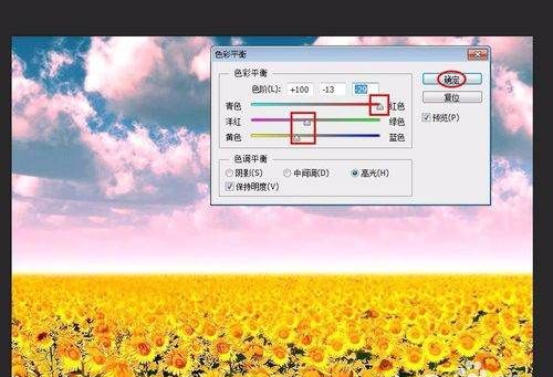 怎么用ps调颜色，如何在ps中将图像的颜色调整为白色图9