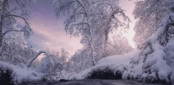 单反拍下雪参数设置，拍摄雪景如何正确曝光图3