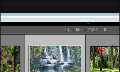 lightroom怎么导入照片图6