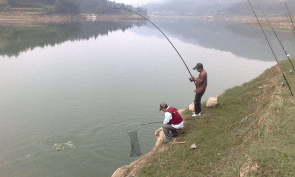 水库水满要在哪钓比较好，水库钓鱼怎么选钓位及水深图1