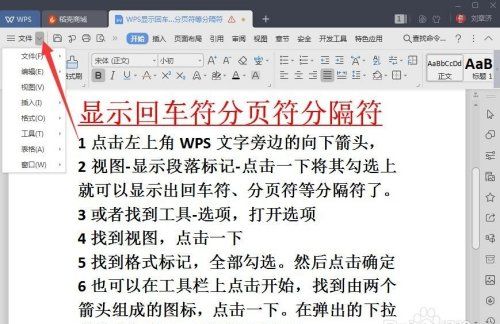 wps分隔符号在哪里，wps如何显示回车符号图1