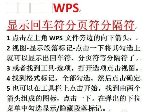 wps分隔符号在哪里，wps如何显示回车符号图6