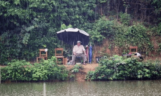 下雨用什么钓鱼，下雨天适合钓鱼吗图1