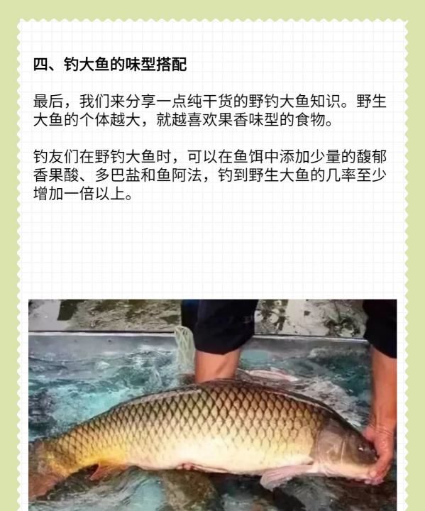 面食钓鱼用打窝，钓鱼用馒头可以打窝吗图6