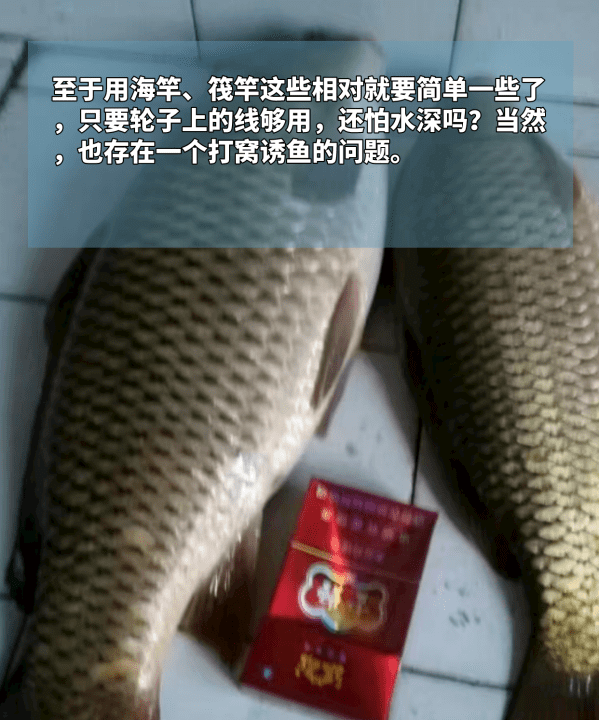 深水库钓鱼怎么钓，水库深水怎么钓鱼图8