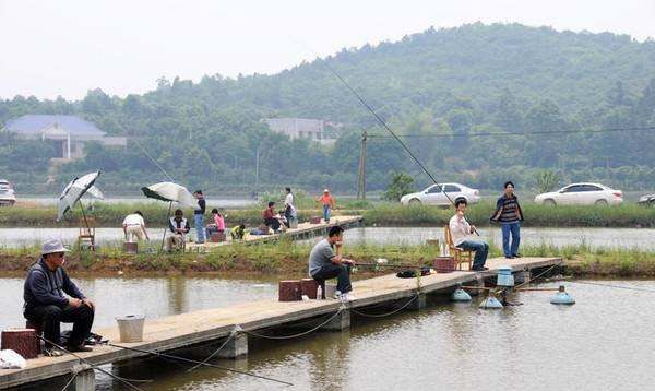 黑坑怎么多钓鱼，黑坑钓鲫鱼用什么小药最好图1