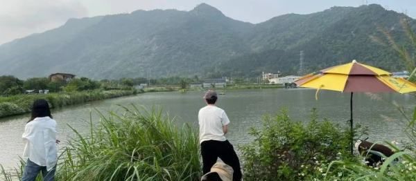 大雨后能钓鱼，雨后钓鱼好钓吗图5