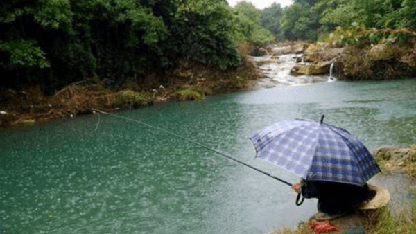 下雨过后怎么钓鱼图2