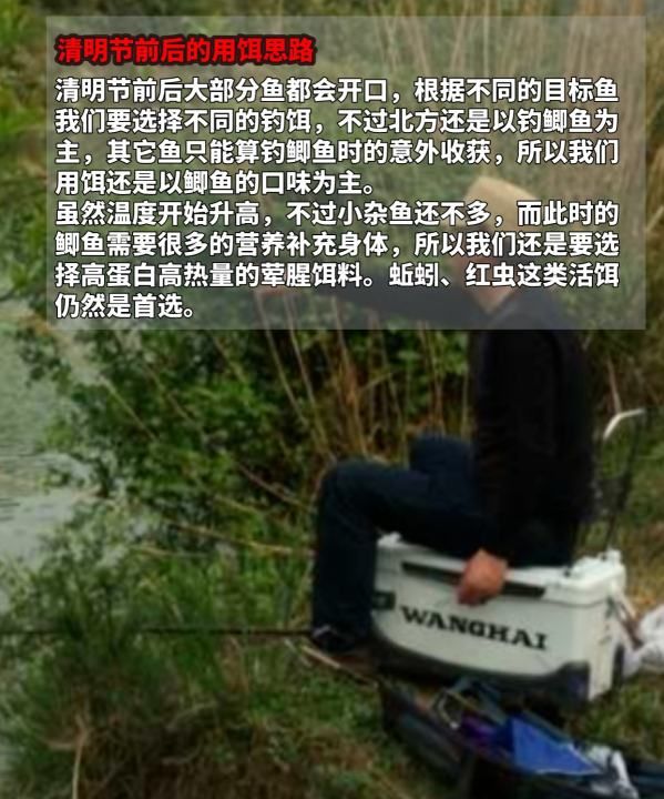 清明如何钓鱼，清明节前后钓鱼是钓远还是钓近图3