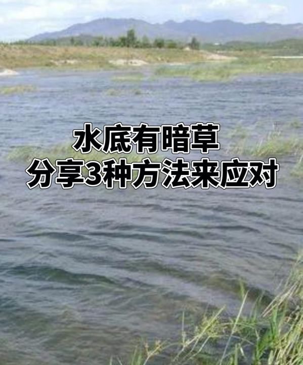 草塘怎么钓鱼，水底有暗草怎么钓鲫鱼