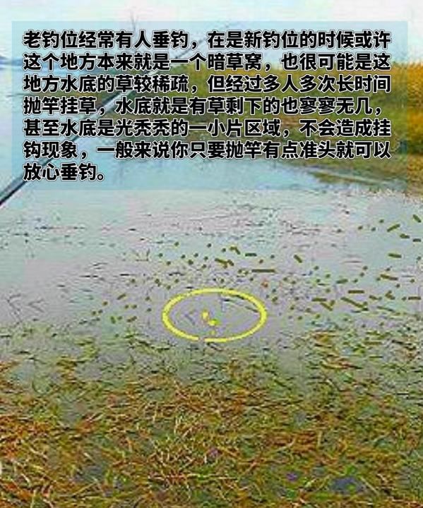 草塘怎么钓鱼，水底有暗草怎么钓鲫鱼图3