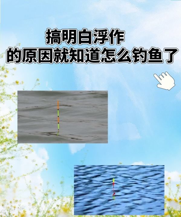 怎么看飘钓鱼，搞明白浮作的原因是什么图1