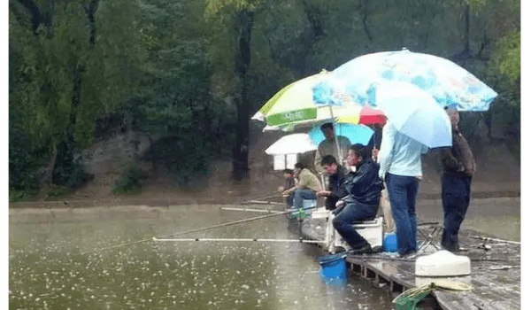 下雨天如何钓鱼鱼，下雨天怎么钓鱼鱼容易上钩图2