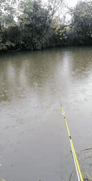 下雨天如何钓鱼鱼，下雨天怎么钓鱼鱼容易上钩图3