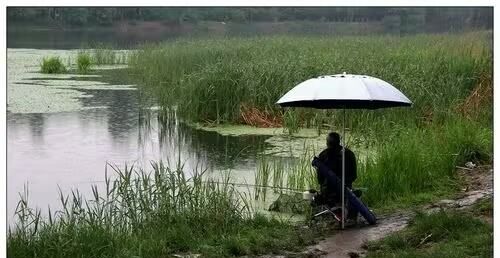 小雨可以钓鱼，小雨钓鱼鱼口好吗图1