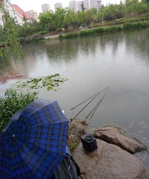 小雨可以钓鱼，小雨钓鱼鱼口好吗图2