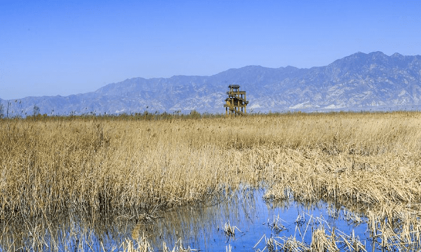 北京哪一个水库让钓鱼，北京钓鱼的地方有哪些地方免费图5