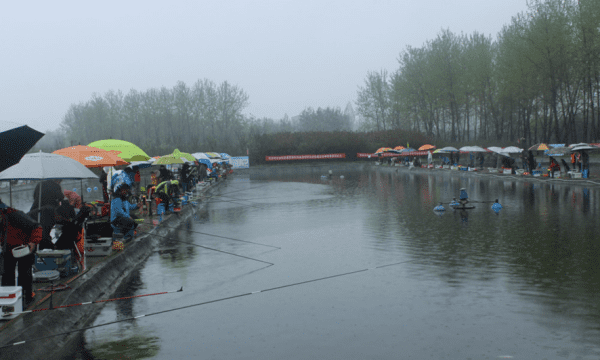 大雨过后能钓鱼，暴雨过后可以钓鱼吗图1