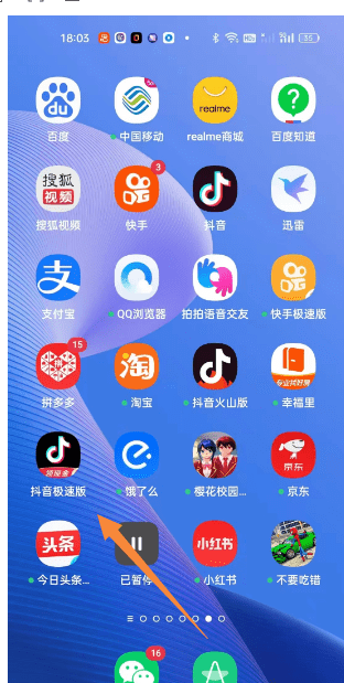 抖音怎么用抖音号登录，用抖音号怎么登录抖音极速版图4