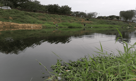 水草塘怎么钓鱼，河底水草太多怎么钓鱼图1