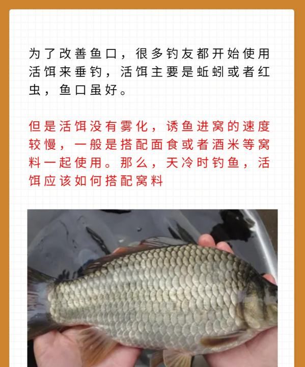 钓鱼怎么样活面食，天冷时钓鱼钧深水还是钓浅水图2