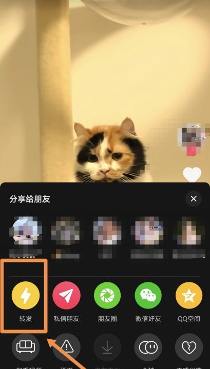 怎么样转发别人的抖音，抖音怎么转发别人的作品到自己抖音里图7