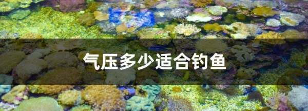 气压多少可以钓鱼，气压多少适合钓鱼参照表