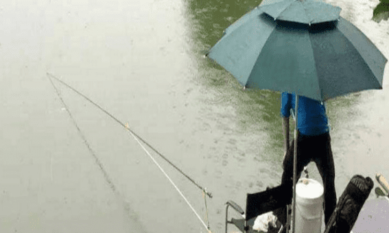 下雨钓鱼用什么钓，下雨天钓鱼钓底还是钓浮?图3