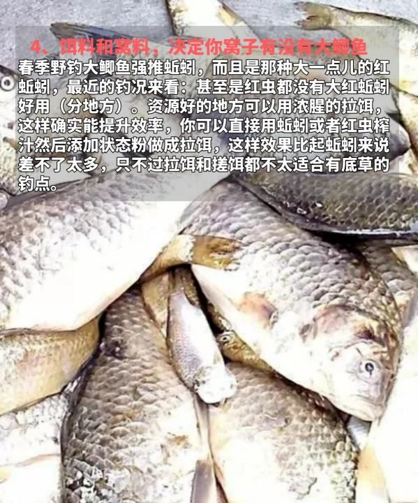 春天钓鱼窝怎么打，春季钓鱼用什么饵料最好图9