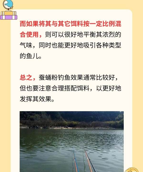 蚕蛹如何钓鱼，蚕蛹粉钓鲫鱼效果怎么样图4