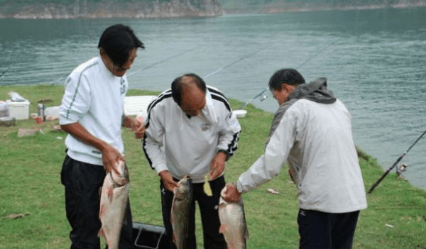 十月底怎么钓鱼，10月份钓鱼的最佳时间段图3