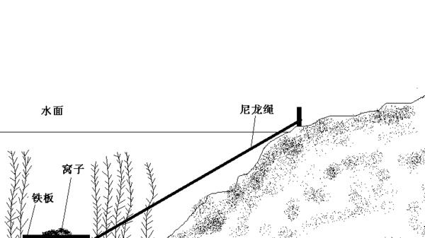 有水草怎么钓鱼，水底有障碍物怎样钓鱼图1