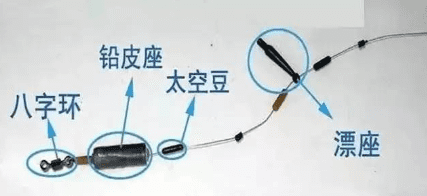 用太空豆怎么钓鱼，太空豆在钓鱼中的作用与应用方法图5