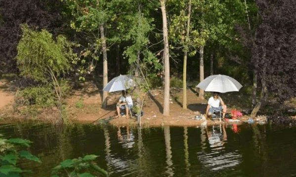 闷热天怎么样钓鱼，天气闷热怎么钓鱼,钓多深图2