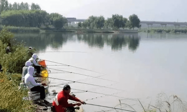 五月钓鱼用什么饵，五月钓鲫鱼用什么饵料配好图2