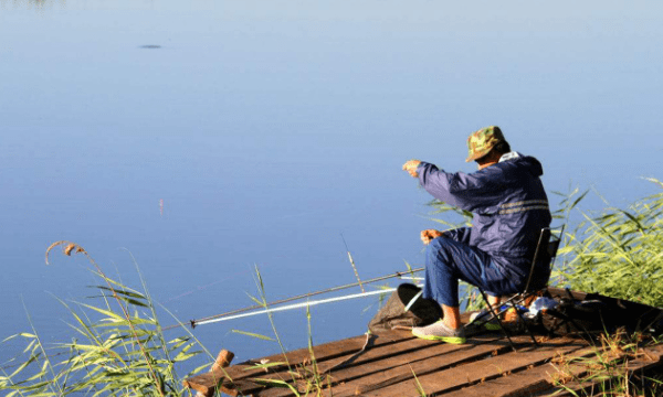 夏天高温怎么钓鱼，12123交罚款交重复了怎么办图2