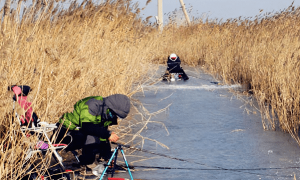 水位下降怎么样钓鱼，野河水位下降好钓鱼吗图2