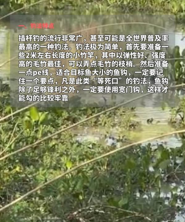 竹竿钓鱼怎么钓，最适合懒人的钓法图2