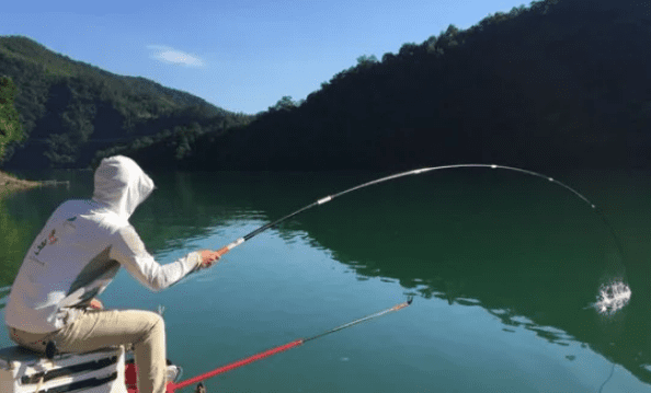 夏天晚上几点钓鱼，三伏天钓鲤鱼最佳时间是几点图3