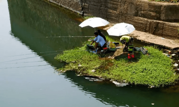 夏天什么时间钓鱼，夏天钓鱼什么时间段最好钓鱼图2