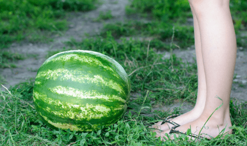 芒果含钾高，芒果里面钾含量高么图8