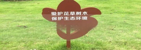 怎么样保护花草树木，爱护花草的建议十条怎么写图2