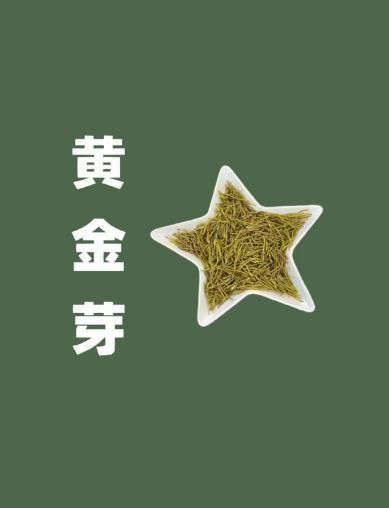 黄金芽茶品质特征，黄金芽茶怎么鉴定等级图5