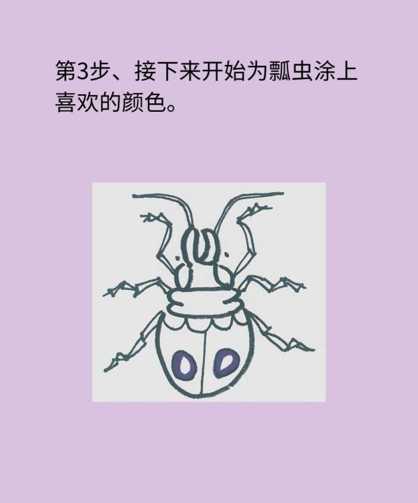 如何画甲壳虫简易方法推荐，海底小纵队甲壳虫艇简笔画图5