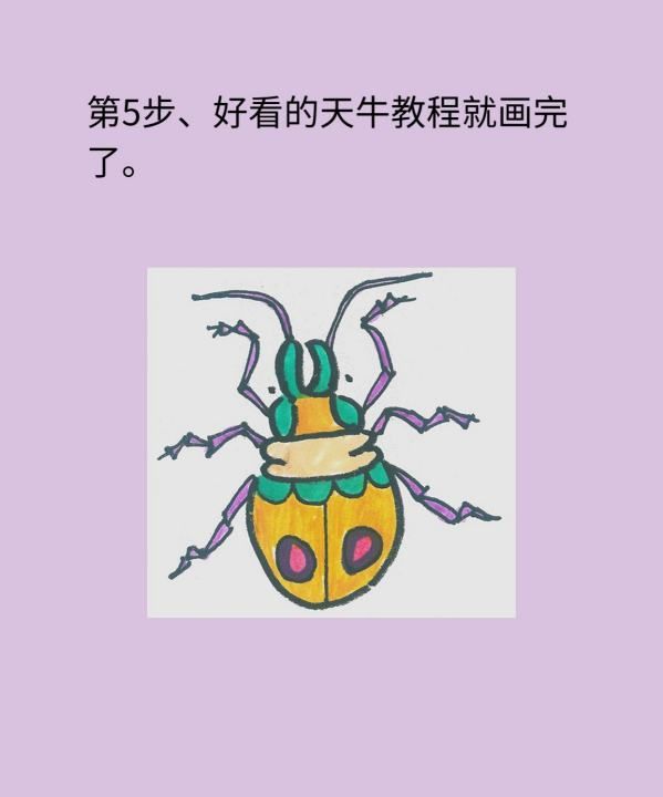 如何画甲壳虫简易方法推荐，海底小纵队甲壳虫艇简笔画图7