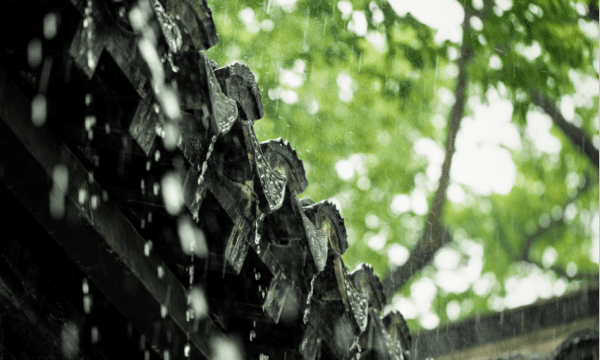 沥沥细雨什么意思图1