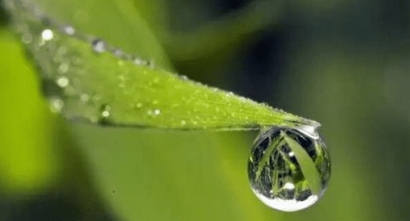 春雨是什么颜色的图2