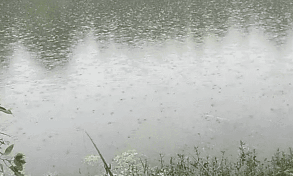 中雨可以钓鱼，夏天下中雨钓鱼行吗图2