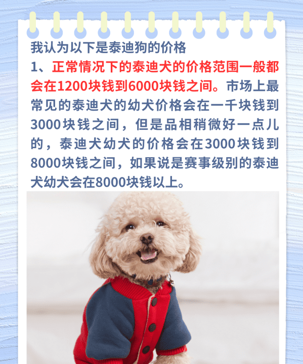 贵宾犬多少钱一只，泰迪狗多少钱一只图2